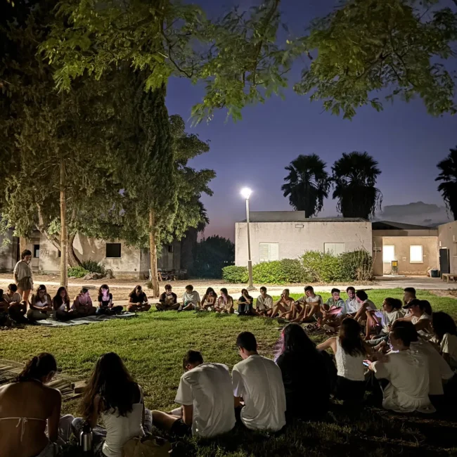 גלריה תלם 26 2026-02-11 at 11.11.46