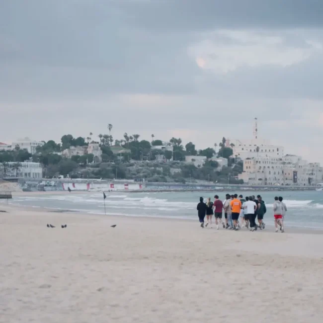 גלריה תלם 26 2026-02-11 at 11.34.22